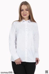 Рубашка женская гладкокрашеная, длинные рукава, офисная (корпоративная)  РО-2